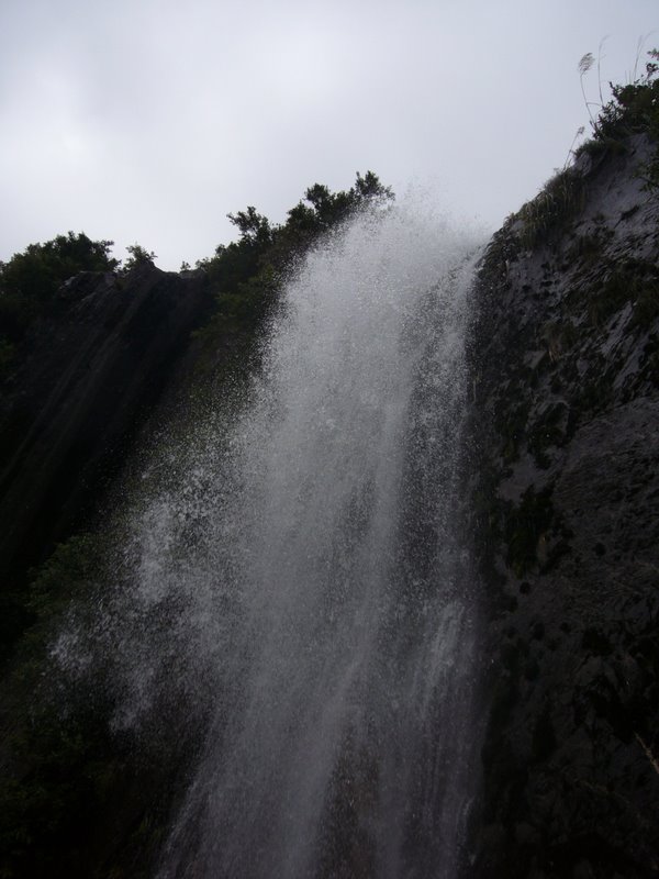 Travel - New Zealand - Franz Josef Glacier